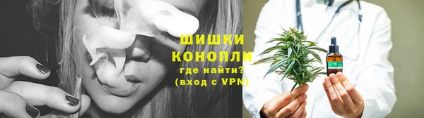 СК Заводоуковск