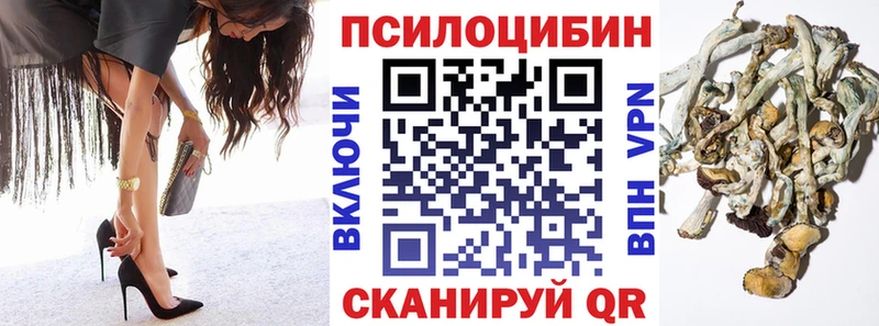 купить наркотик  Иннополис  KRAKEN маркетплейс  Псилоцибиновые грибы Magic Shrooms 