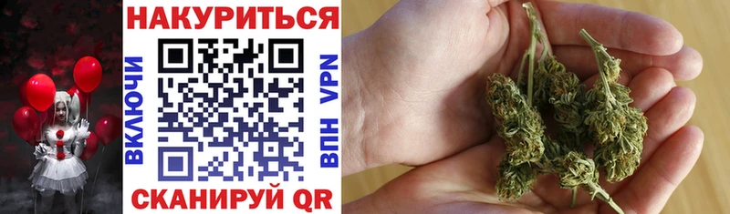 Конопля конопля  купить   Иннополис 
